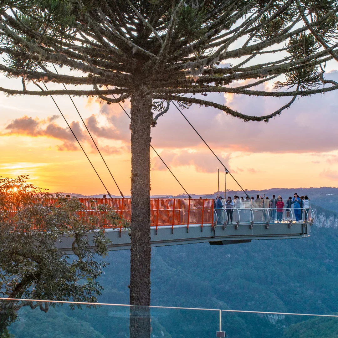 Mirante com vista para o cânion na Serra Gaúcha em passeio personalizado