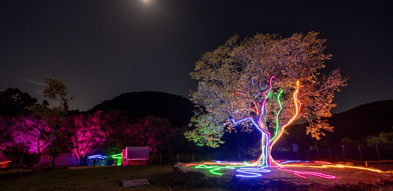 Árvore iluminada com luzes coloridas no passeio noturno Lumini em Gramado