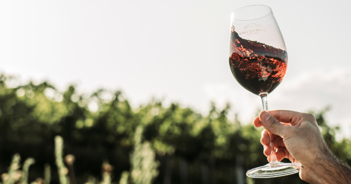 Taça de vinho tinto erguida diante dos vinhedos no Vale dos Vinhedos